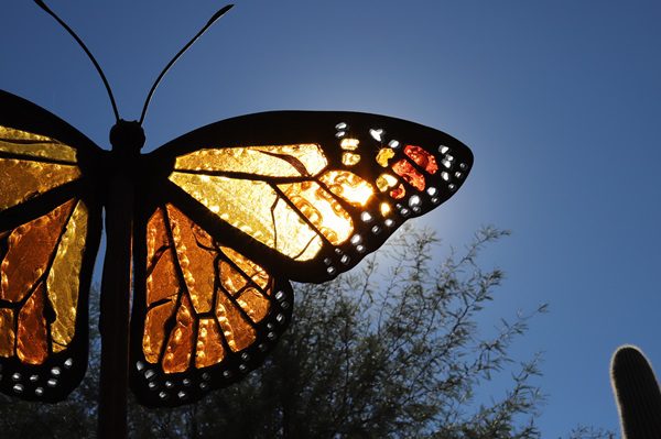 Carlsbad’s Flower Fields Bloom into 2025’s Must-See Attraction