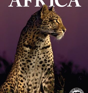 Bench Africa: Ultra Trade-Friendly Travel Brochure Launched!