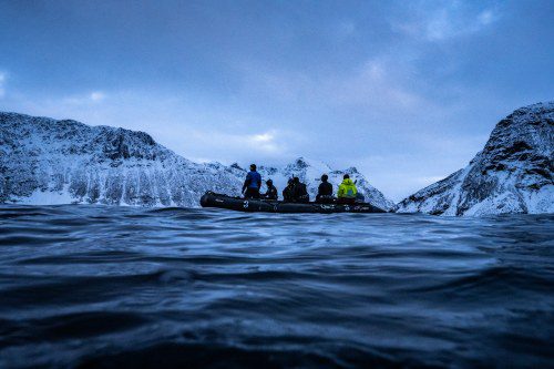 2025: Epic Whale Adventures Under the Stars!