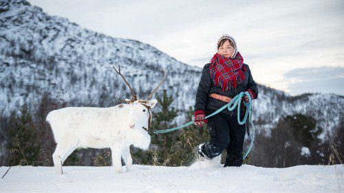 Savor Sami Flavors: Hurtigruten’s Culinary Commitment