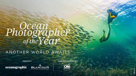 Ocean Photographer of the Year