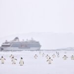 Viking Unveils Luxe Arctic to Antarctica Cruises