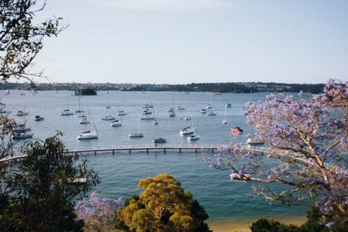 🌆 Meet the Sydneysiders: Explore Sydney Like a Local!