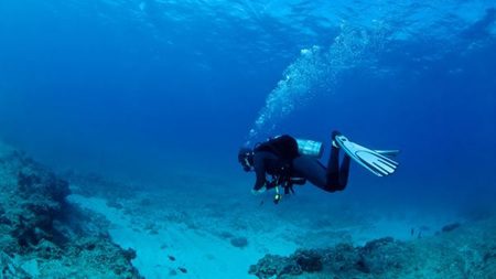WiseOceans