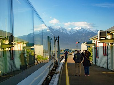 Unveil Kaikōura’s Stunning Dark Skies Adventure!