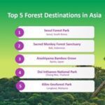 Top 5 Asian Forest Escapes for Nature Lovers