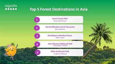 Top 5 Asian Forest Escapes for Nature Lovers