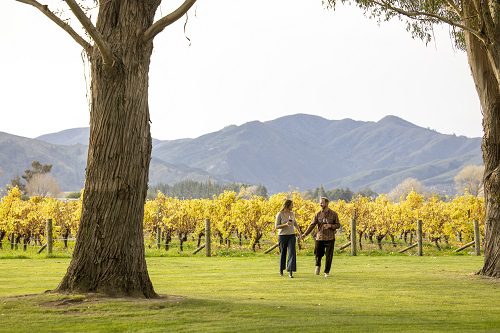 Tourism NZ Relaunches ‘100% Pure’ to Boost Off-Peak Travel