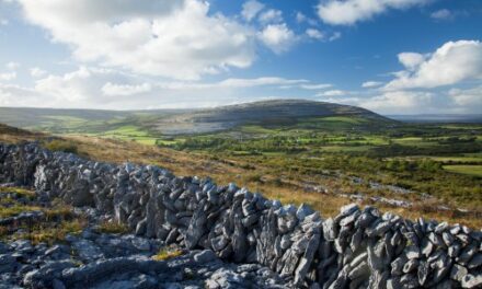 🇮🇪 Ireland’s Dry Stone Walls Earn UNESCO Heritage Status!