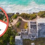 SITE Global 2025 Brings Incentive Travel Leaders to Tulum