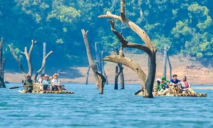 Kerala Tourism Shatters Records: 2.22 Crore Visitors in 2024!