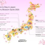 🌸 Marriott Bonvoy’s Magical Cherry Blossom Getaways! ✨