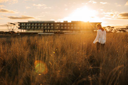 🦁 Monarto Safari Resort Welcomes New Leadership!