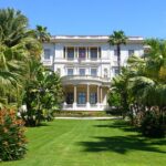 🌿 Le Windsor Jungle Art Hotel: A Hidden Artistic Oasis in Nice