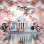 Washington, DC Blooms: Spring Magic & Cherry Blossoms!