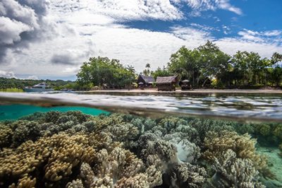 Discover Ratua Island: Australia & NZ’s New Paradise!