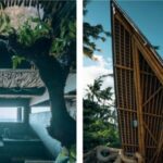 Discover The Seed: Bali’s Enchanting Peter Pan Hideaway