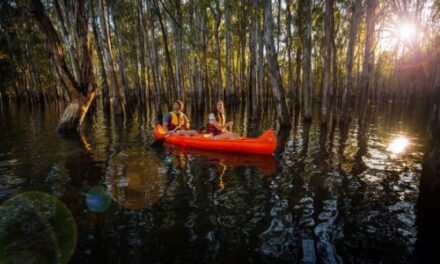 🌿 Awaken Your Adventurous Spirit in NSW!