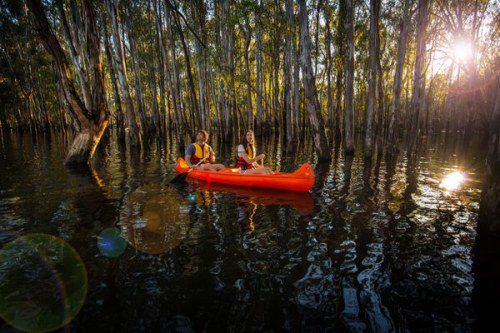 🌿 Awaken Your Adventurous Spirit in NSW!