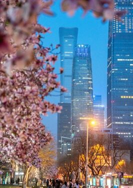 Chaoyang Garden Festival Blooms in Beijing