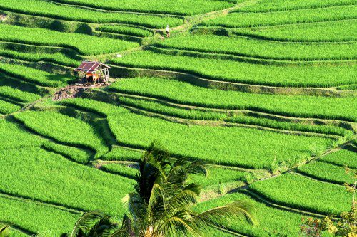 G Adventures Unlocks Hidden Indonesia in 20 Trips