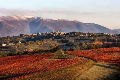 Montefalco Landscape