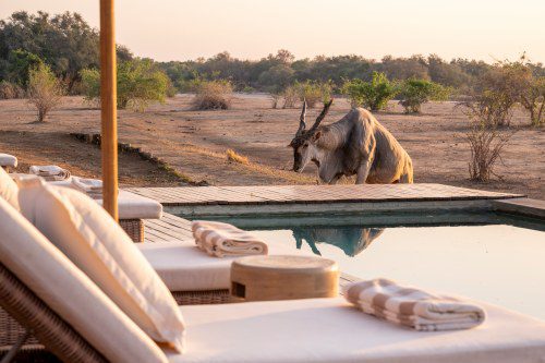 Chikwenya_Camp_10.24FR-6