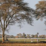 New Safari Guidebook Puts Malawi on the Map for Walking Safaris