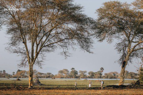 New Guidebook Showcases Malawi as Top Spot for Walking Safaris