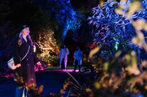 Crowne Plaza Shines with Lightscape Magic!