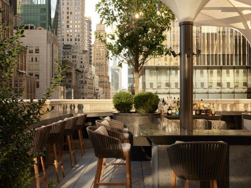 Summer in the City: Hot New Experiences Await!