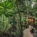 Daintree Ecolodge