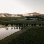 Halliday Wine Companion Reveals 2026 Awards Shortlist