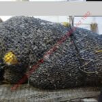 OIA25-0205-Appendix-One-_Redacted-Copy_