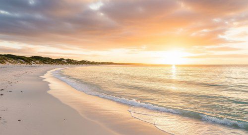 1Cover Wins 2025 Mozo Award for Top Travel Insurance Value