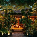 The lush entrance to Shelter Pererenan — where Mediterranean flavors meet Bali’s tropical soul. A destination for connection, creativity, and unforgettable dining.