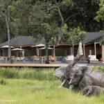 Wilderness To Unveil New Chapter In Kenya’s Iconic Mara Triangle