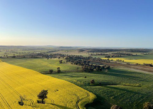 7 Must-See Spring Events to Bloom into in Central NSW