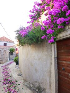 Cavtat lane strewn with flower petals