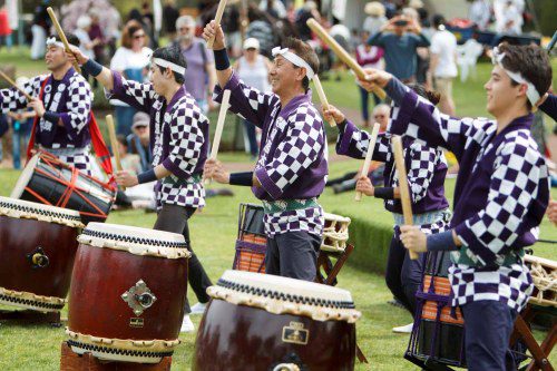 Cowra Japanese Garden Sakura Matsuri entertainment