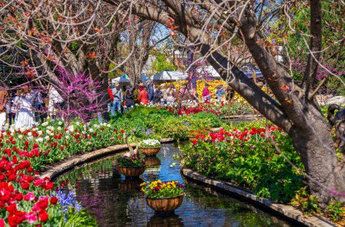 More Southern Highlands Spring Gardens