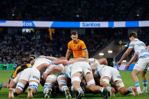 Spring into Action: Sydney’s Must-See Sporting Events This Season