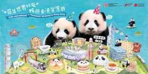 Panda Twins Birthday