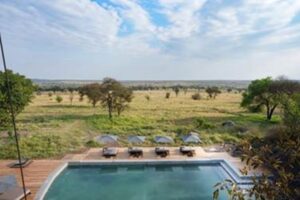 Infinity pool at Warangi Ridge—front-row seat to Serengeti’s wild parade.