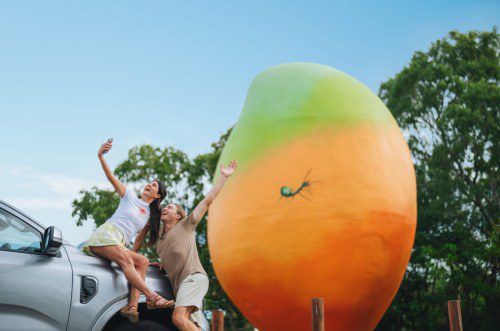Queensland Tourism Booms Along Australia’s Holiday Highway