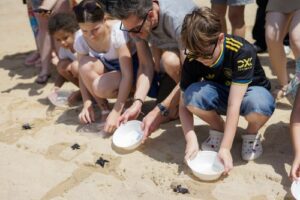 Turtle Release - InterContinental Bali Sanur Resort & Holiday Inn Bali Sanur_3