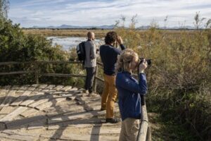 grupo-observando-aves-en-albufera