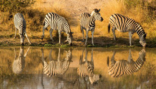 10 New Tours, 136 days of touring designed by destination experts
