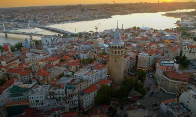 Istanbul Biennial Unleashes ‘Three-Legged Cat’ This September