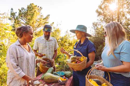 Alila Hotels Invites Travelers to a World of Wonder